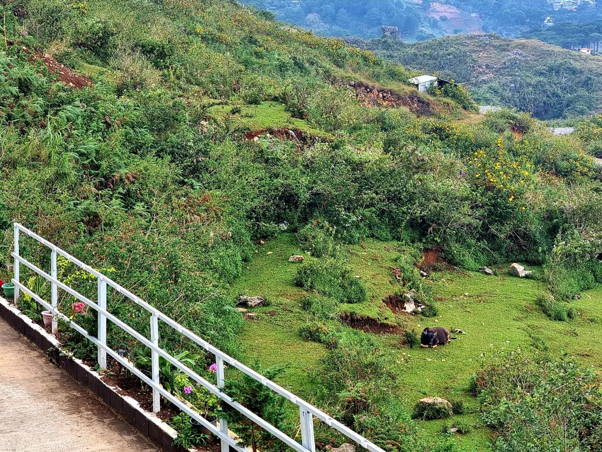 Wanay'S Rocky Mountain Homestay Baguio City Екстер'єр фото